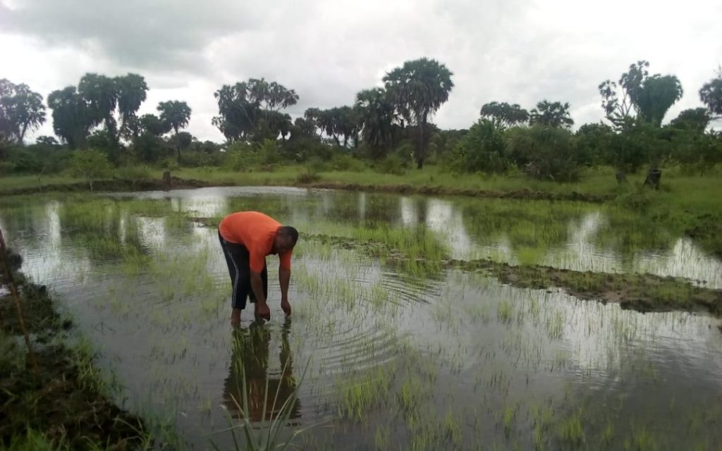 Targeted for their faith